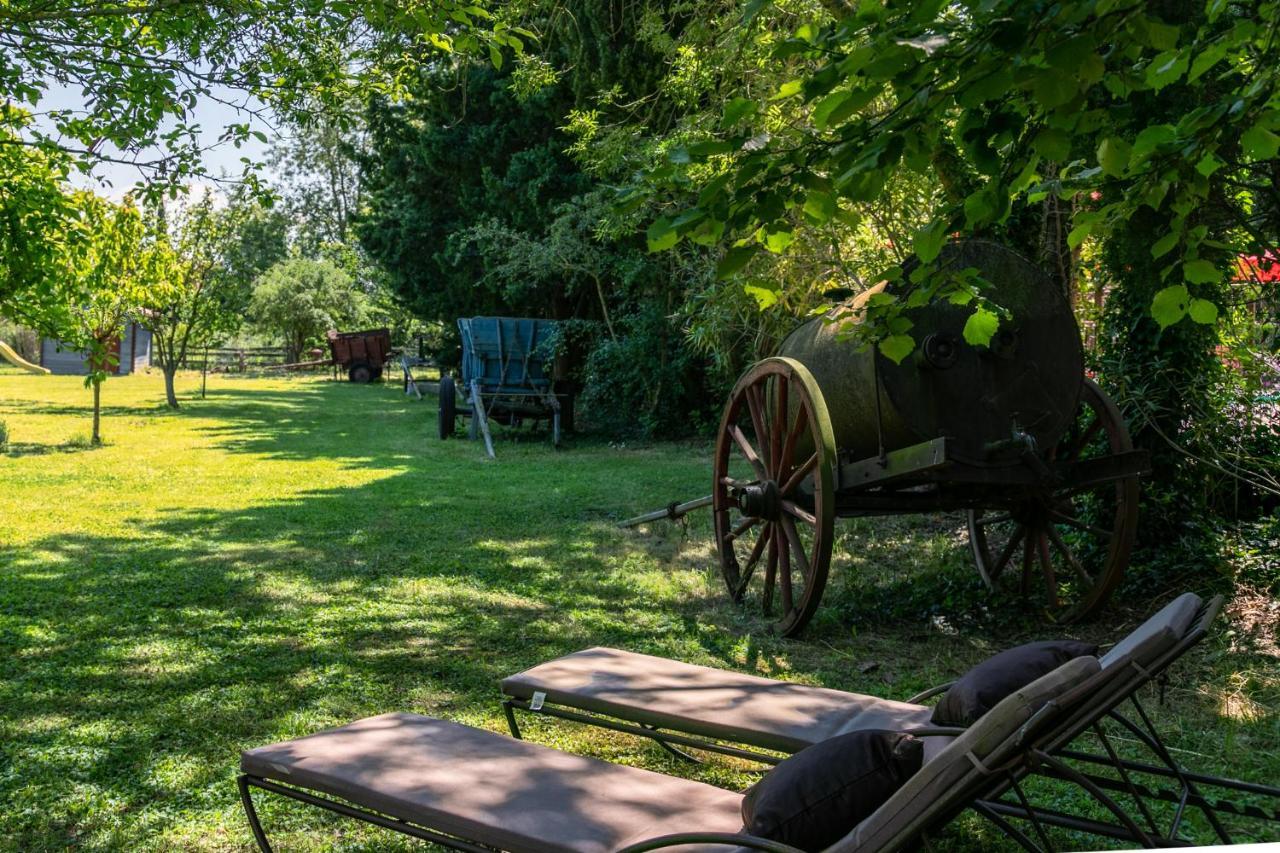 Gites Domaine Des Machottes Grans Екстер'єр фото